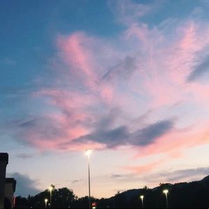 Meet your Posher, Lily